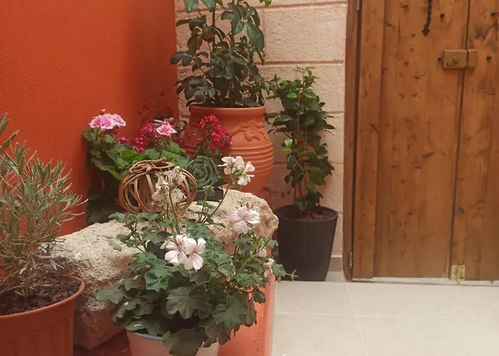 Apart-hotel Casa Ifestou Rhodes City